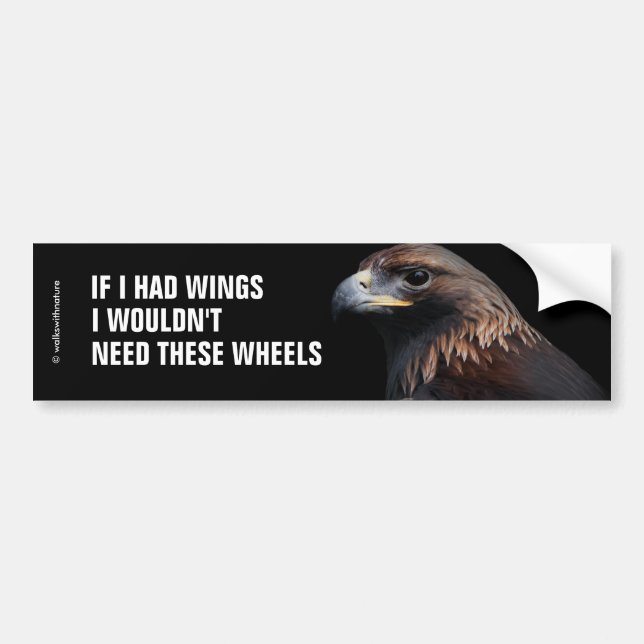 If I Had Wings I Wouldn't Need ... : Golden Eagle Bumper Sticker (Front)