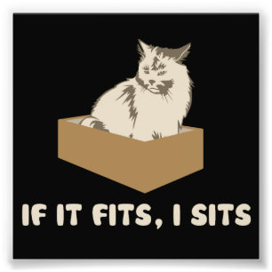 If It Fits, I Sits Cat Photo Print