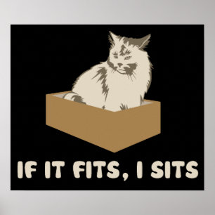 If It Fits, I Sits Cat Poster