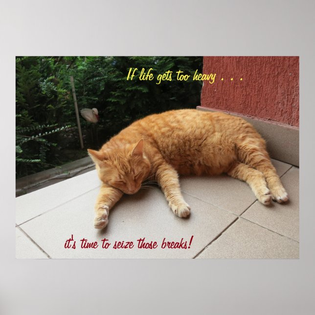 If life gets too heavy Cat (2) Poster (Front)