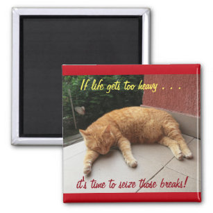 If life gets too heavy Inspirational Magnet (cat)