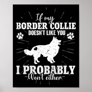 If My Border Collie Doesn't Like You I Won't Fun C Poster