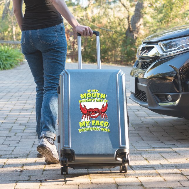 If My Mouth Doesn't Say It My Face Definitely Will (Suitcase Insitu)