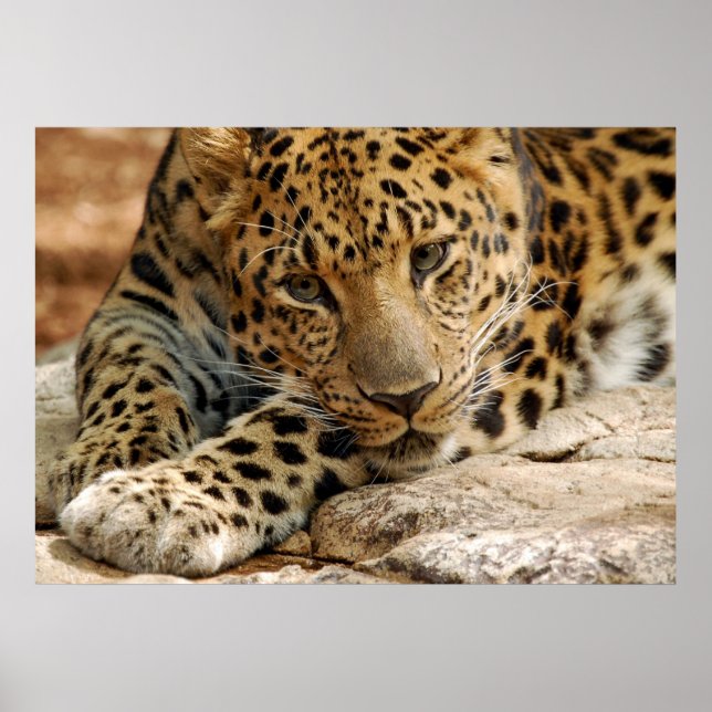 If Only...I Could Be Saved Poster (Front)