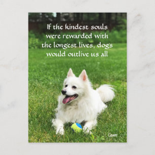 If the Kindest Souls - Postcard