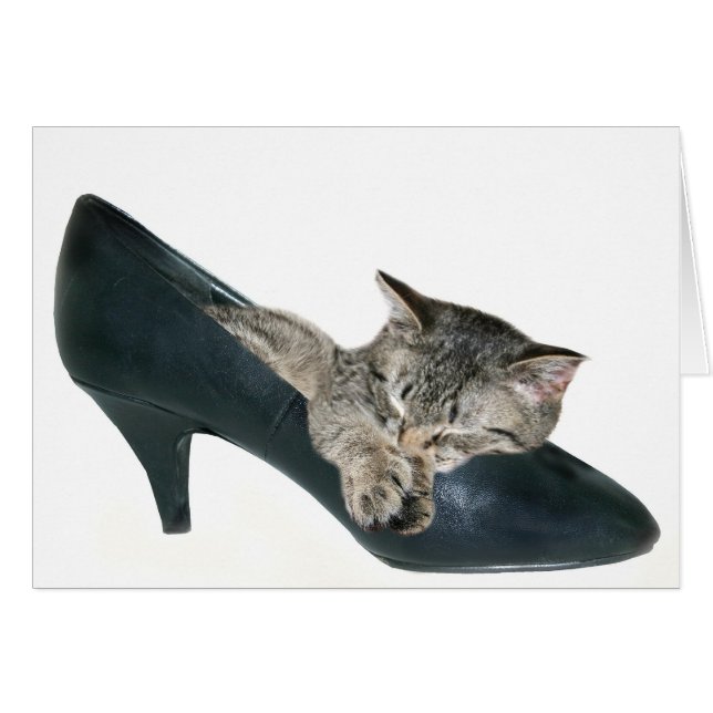 If the shoe fits (Front Horizontal)