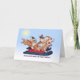 "If we catch Santa, we'll get cookies!" Holiday Card