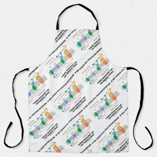 If We Could All Photosynthesize Wouldn't Be Energy Apron