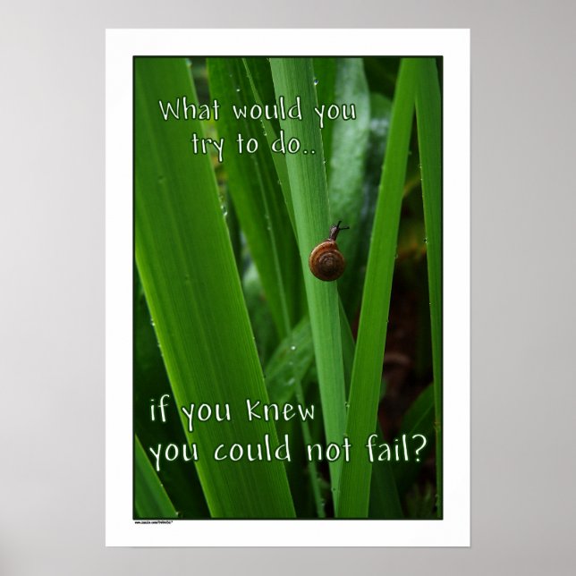 If You Couldn't Fail Poster print (Front)
