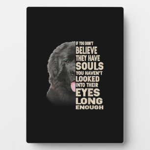 If You Dont Believe They Have Souls Newfoundland Plaque