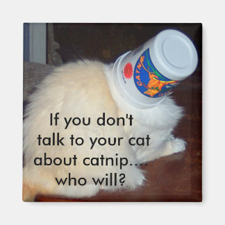 If you don't talk to your cat about catnip...who w magnet
