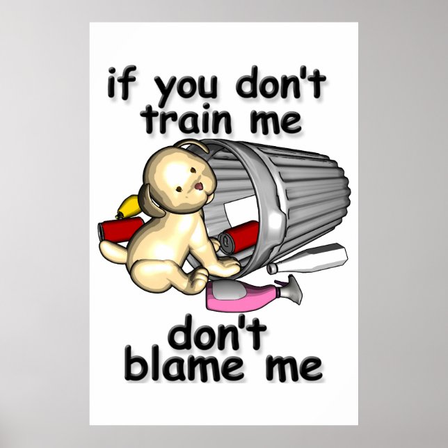 If you don't train me, don't blame me poster (Front)