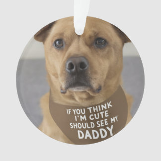 If you think I am cute you should see my daddy Ornament