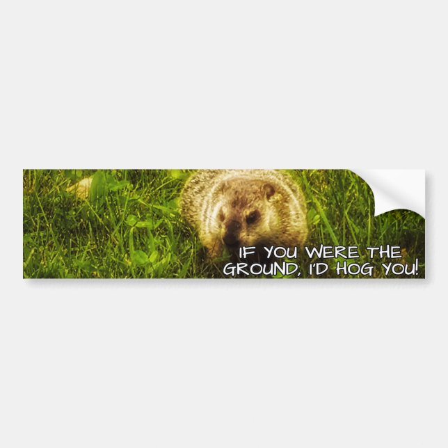 If you were the ground, I'd hog you bumper sticker (Front)
