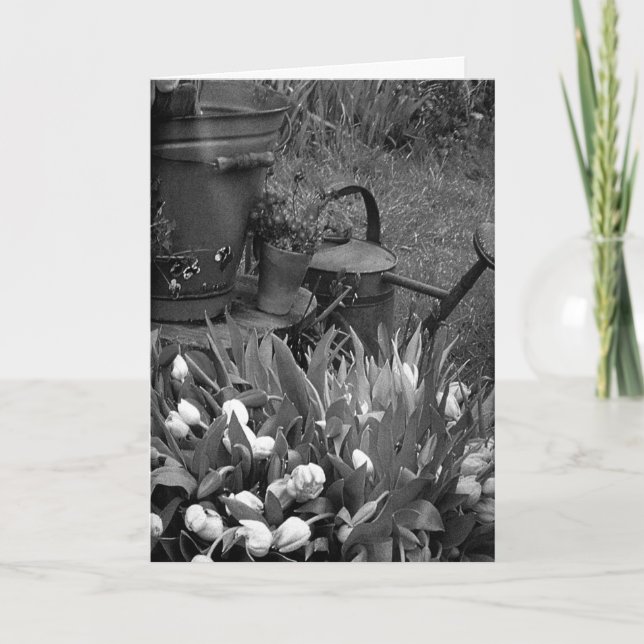 IFELICES PASCUAS HAPPY EASTER IN SPANISH HOLIDAY CARD (Front)