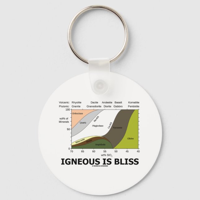 Igneous Is Bliss (Geology Ignorance Is Bliss) Key Ring (Front)