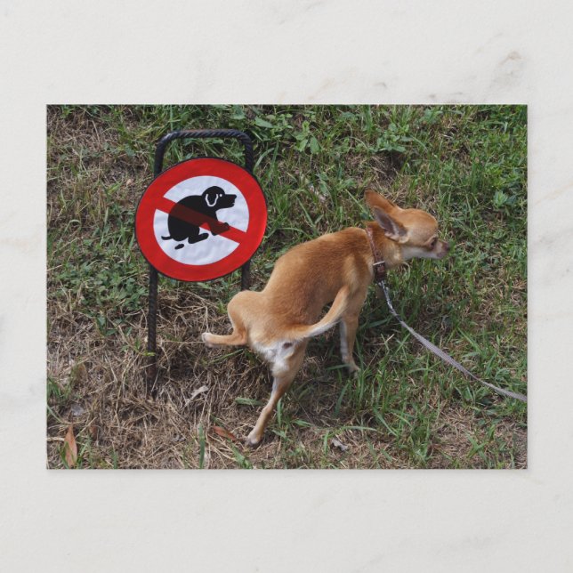 Ignorance Is Bliss Postcard (Front)