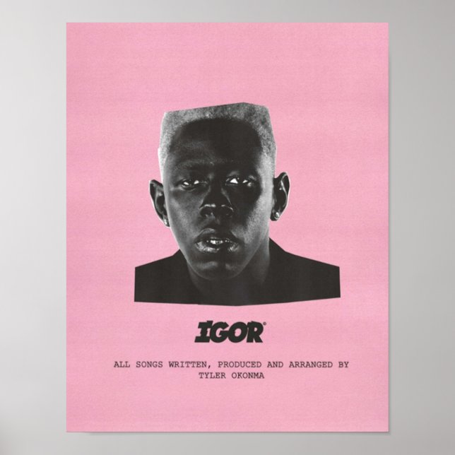 IGOR PINK POSTER (Front)
