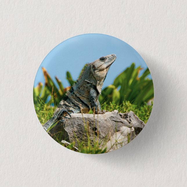 Iguana 3 Cm Round Badge (Front)