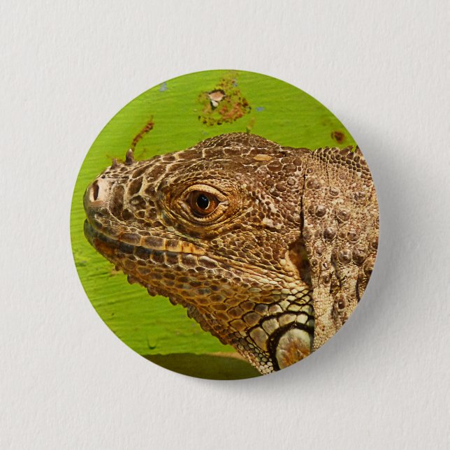 IGUANA 6 CM ROUND BADGE (Front)