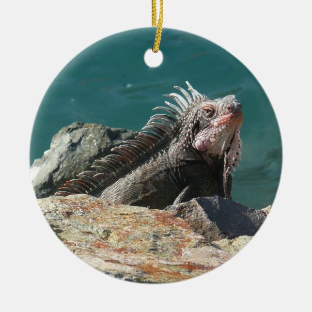 Iguana at St. Thomas Ceramic Tree Decoration (Front)