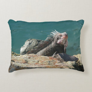 Iguana at St. Thomas Decorative Cushion