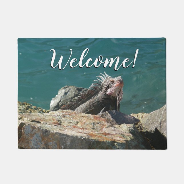 Iguana at St. Thomas Doormat (Front)