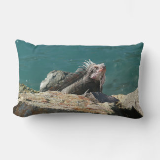 Iguana at St. Thomas Lumbar Cushion