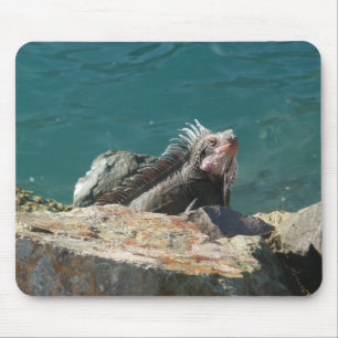 Iguana at St. Thomas Mouse Pad