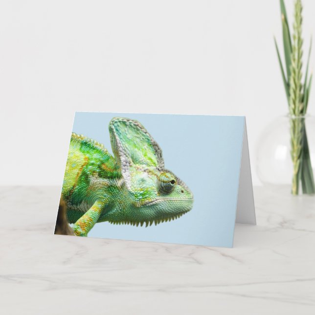 IGUANA BIRTHDAY CARDS (Front)