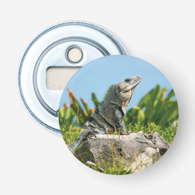 Iguana Bottle Opener (Front)