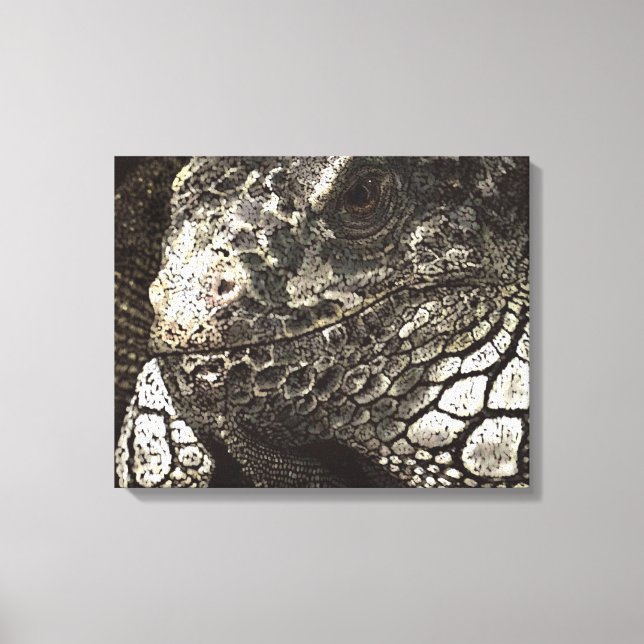 Iguana Canvas Print (Front)