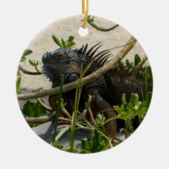 Iguana Ceramic Tree Decoration (Front)