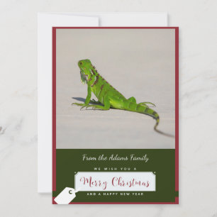 Iguana Christmas Card