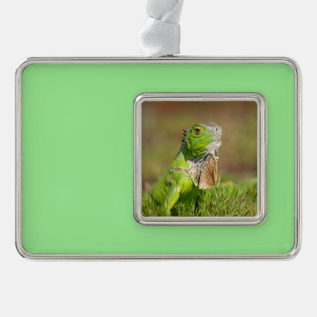 Iguana Christmas Ornament (Front)