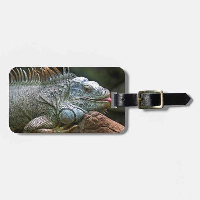 Iguana custom luggage tag (Front Horizontal)