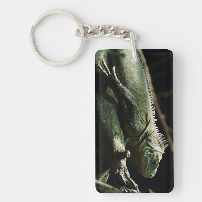 Iguana delicatissima key ring (Front)