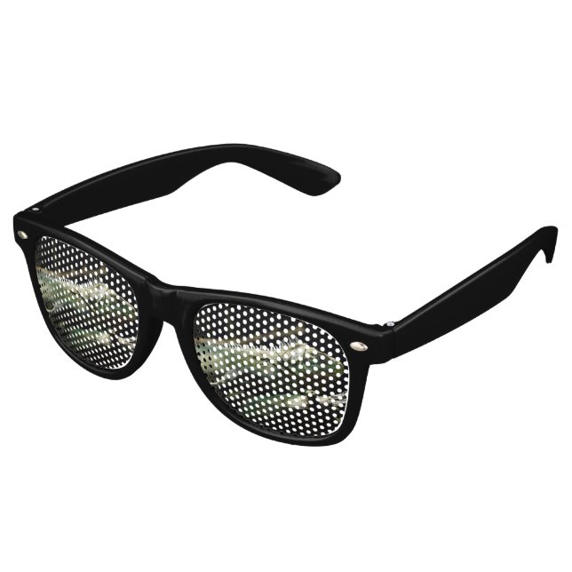 Iguana delicatissima retro sunglasses (Angled)