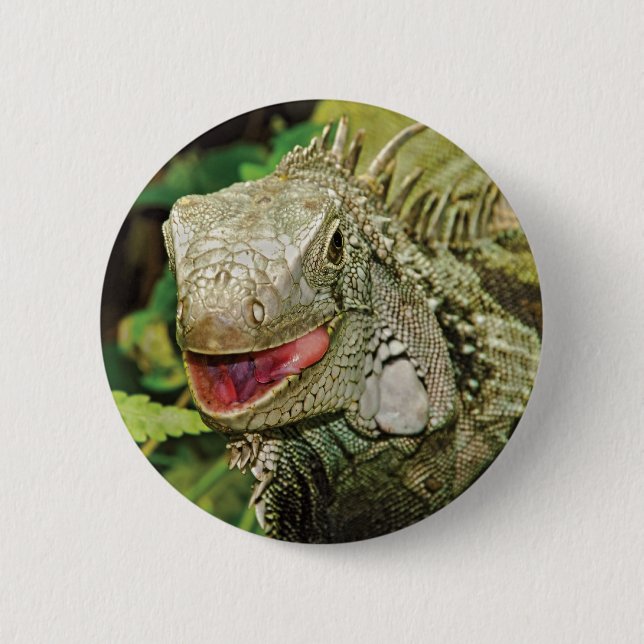 Iguana green 6 cm round badge (Front)