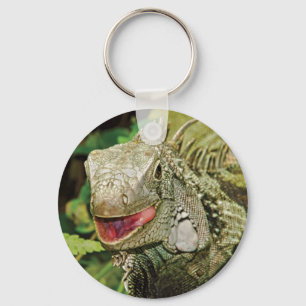 Iguana green key ring