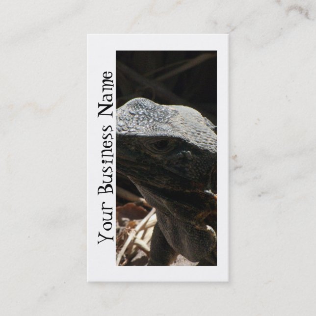Iguana in the Shadows Business Card (Front)