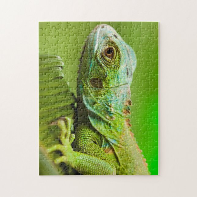 Iguana in the Wild Jigsaw Puzzle (Vertical)