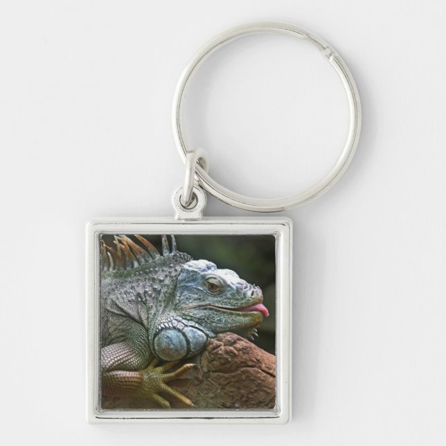 Iguana key chain (Front)