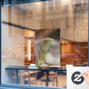 Iguana kiss