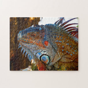 Iguana Lizard Florida Jigsaw Puzzle