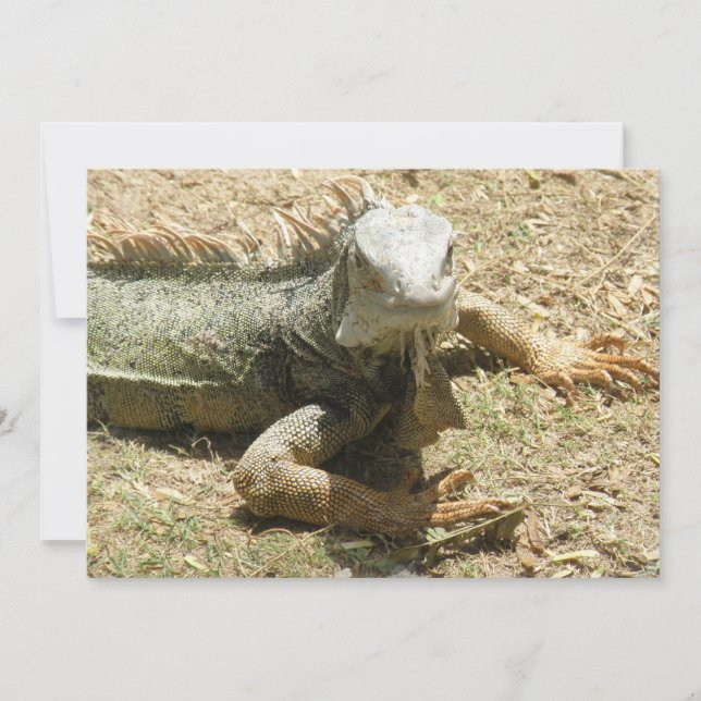 Iguana Lizard Invitation (Front)