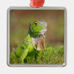 Iguana Metal Ornament
