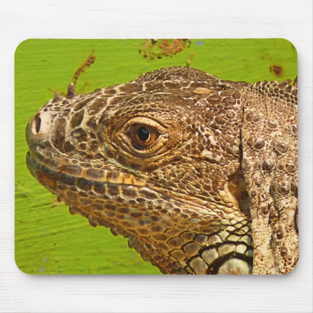 IGUANA MOUSE PAD (Front)