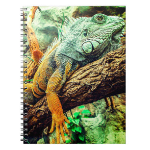 Iguana Notebook