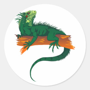 Iguana on a Branch Classic Round Sticker